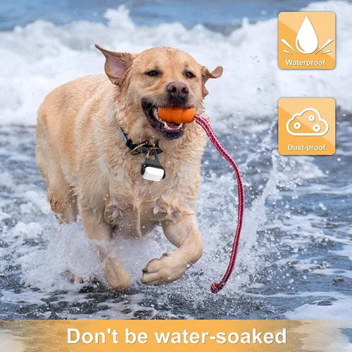 Miniatura 4 de Dog Lights for Night Walking, Clip on Dog Collar Light - 3 Modes, USB-C Rechargeable, IP65 Waterproof, LED Safety Light for Running, Camping