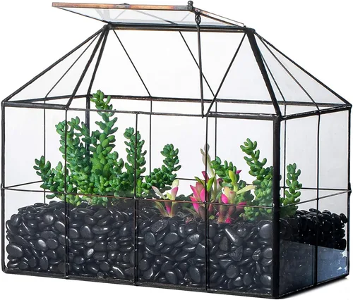 Miniatura 9 de NCYP Terrario de cristal con forma de casa con tapa acrílica, 10.2 x 5.9 x 8.2 pulgadas, caja de terrario geométrica grande de mesa para caracoles