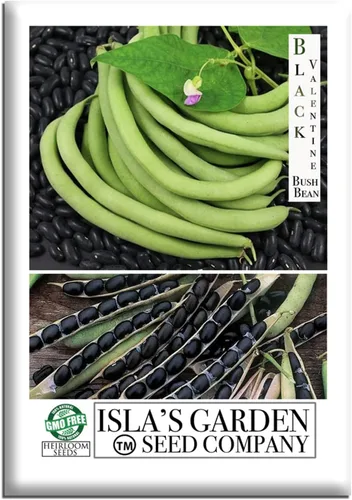 Semillas de frijol arbusto "Black Valentine", más de 50 semillas tradicionales por paquete, semillas sin OMG, (semillas de jardín de Isla), nombre