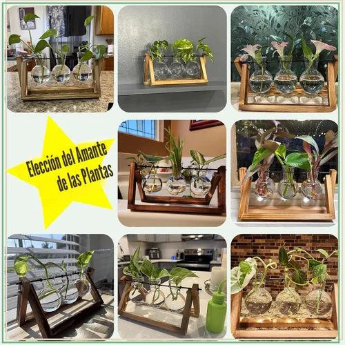 Miniatura 7 de XXXFLOWER Terrario para plantas con soporte de madera, maceta de aire, jarrón de vidrio, soporte giratorio de metal, mesa retro para decoración
