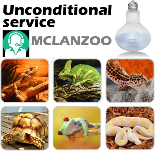 Miniatura 6 de Paquete de 2 bombillas de calor para reptiles de 50 W, anfibios, bombilla de luz diurna de reptil para tortuga, dragón barbudo, lagarto, pollo