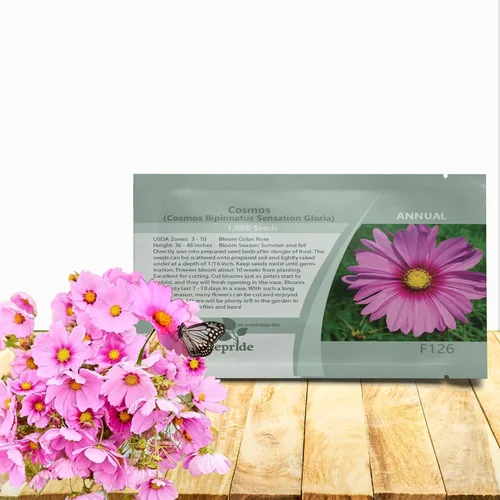 Outsidepride Gloria Cosmos Bipinnatus Seeds - 1000 piezas anuales, fáciles de cultivar y tolerantes a la sequía, semillas de flores para plantar con
