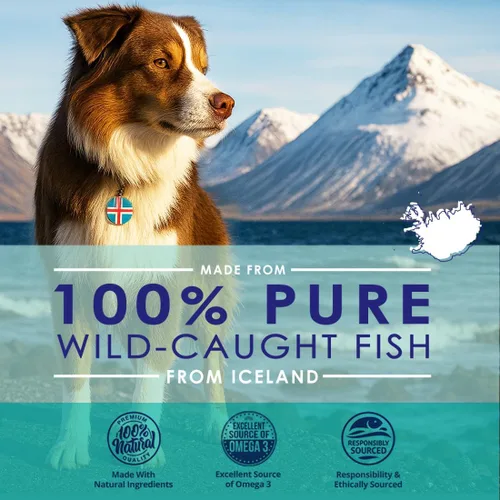 Miniatura 2 de Aceite de pescado líquido para perros con ácidos grasos Omega 3, 6 y 9, capturado en el medio silvestre de Islandia, suplemento para la piel