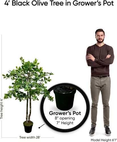 Miniatura 6 de Cypress & Alabaster Árbol artificial de hoja de olivo negro italiano hecho a mano de 4 pies con troncos de madera real de origen ético