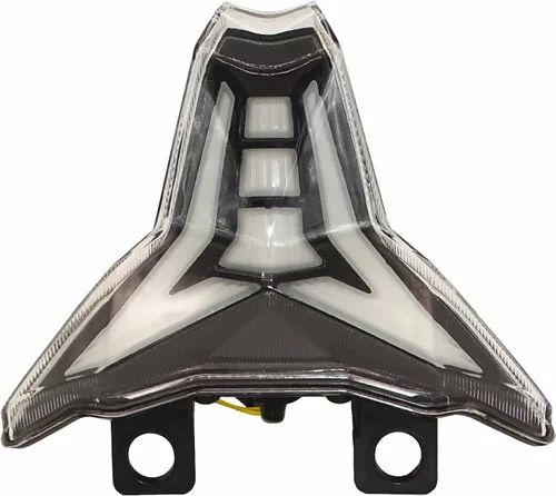 Luz trasera LED integrada para motocicleta, luces de freno trasero para KAWASAKI Z250 Z400 2019-2023/Ninja 250 400 EX400 2018-2023 / ZX-6R ZX6R