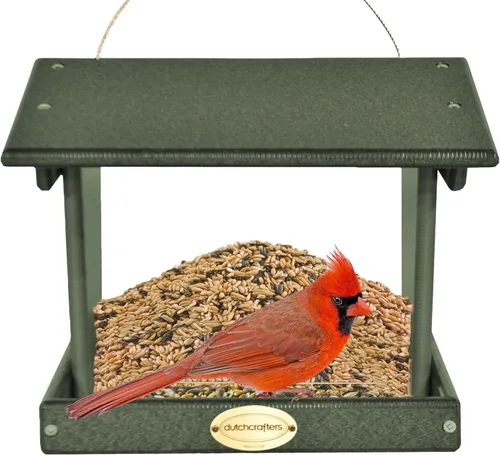 Miniatura 12 de DutchCrafters Comedero grande de plástico colgante para pájaros – Comedero para pájaros con tolva cubierta de polietileno para aves silvestres al