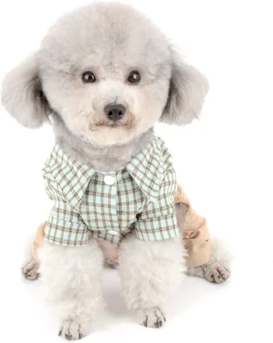 Miniatura 6 de SMALLLEE_Lucky_Store Camisas de algodón a cuadros británicos con botones para perros pequeños, niños con cinturón, pantalones casuales para Verde