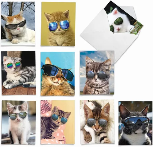 Miniatura 9 de The Best Card Company - 10 adorables tarjetas de gato en blanco (4 x 5.12 pulgadas) - Lindos gatitos para mascotas, juego surtido de tarjetas