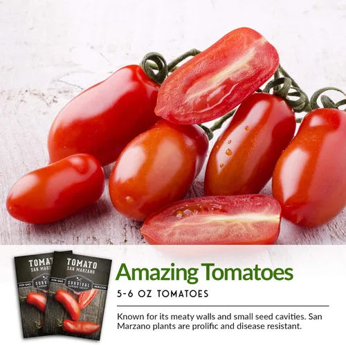 Miniatura 7 de Survival Garden Seeds - Semilla de tomate San Marzano para plantar - 1 paquete con instrucciones para plantar y cultivar tomates ciruela italianos