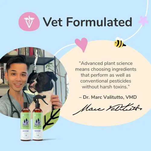Miniatura 6 de kin+kind Prevención natural de pulgas y garrapatas para perros – Spray de pelaje no graso, formulado por veterinarios, lavanda, 12 onzas líquidas