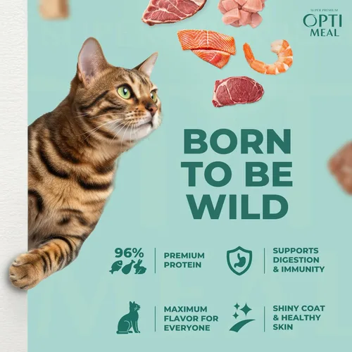 Miniatura 4 de Optimeal Comida húmeda para gatos sin grano en sobres – Carne de res y conejo en salsa sabrosa, alto contenido en proteínas y tiernos trozos ricos