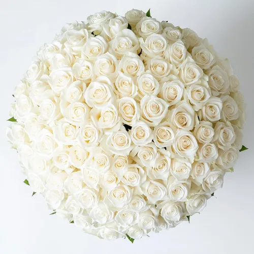 Miniatura 15 de GlobalRose Ramo de 50 rosas surtidas, rosas de origen responsable, flores frescas, ramo fresco de flores seleccionadas a mano para el día