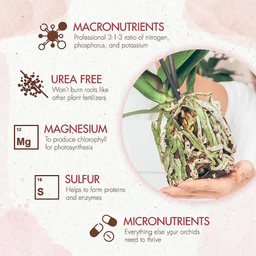 Miniatura 3 de Alimento para plantas de orquídeas (5 oz, más de 50 aplicaciones) – Gránulos de fertilizante estimulante de floración para orquídeas en macetas