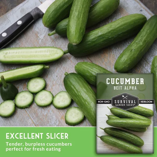 Miniatura 5 de Survival Garden Seeds - Semilla de pepino Beit Alpha para plantar - Paquete con instrucciones para plantar y cultivar pepinos verdes suaves sin