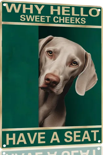 Miniatura 41 de Labrador Retriever - Letrero de metal con texto en inglés "Why Hello Sweet Cheeks Have A Seeks Have A Seeks" (1683)