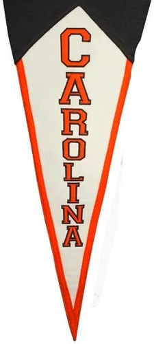 Miniatura 4 de Banderín clásico de Carolina Hurricanes NHL (17.5 x 40.5 pulgadas)