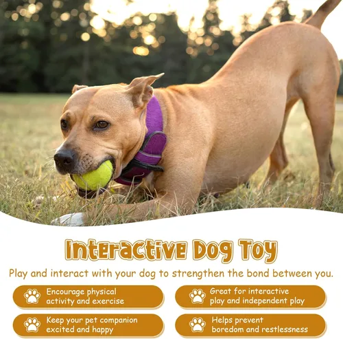 Miniatura 4 de Giantree Paquete de 20 mini pelotas de tenis para perros, pelotas de tenis pequeñas de entrenamiento de 2 pulgadas, pelota interactiva para perros