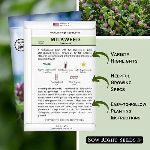 Miniatura 2 de Sow Right Seeds - Semillas de algodoncillo común para plantar - Cultiva tus propias asclepias para mariposas monarca - Mala de leche/Asclepias