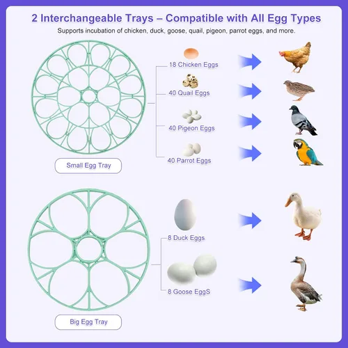 Miniatura 7 de Incubadora de 18 huevos para incubar pollos, girador automático de huevos con capacidad para 18 huevos, incubadora inteligente con ventana
