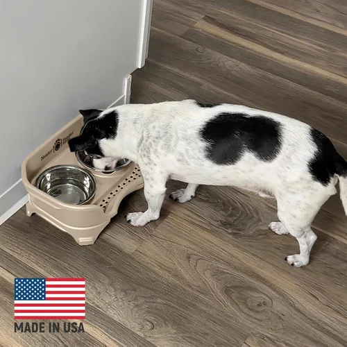 Miniatura 5 de Neater Feeder Express Tazones para Perros Elevados a Prueba de Desorden para Razas Pequeñas de Menos de 15 Libras, Fabricado en EE.UU., Soporte
