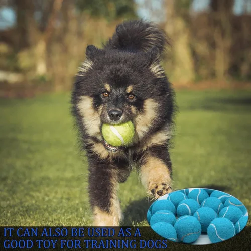 Miniatura 6 de Swingers Pelotas de tenis, pelotas de ejercicio de entrenamiento para mascotas, pelotas de tenis de práctica de alta elasticidad para principiantes