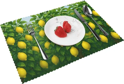 Miniatura 10 de Rectangular Placemats Set of 4, Heat Resistant Dream Printed Kitchen Dining Table Mats