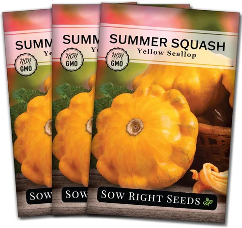 Miniatura 8 de Sow Right Seeds - Semilla de calabaza vieira amarilla para plantar - Paquete de reliquia sin OMG con instrucciones para plantar un huerto casero