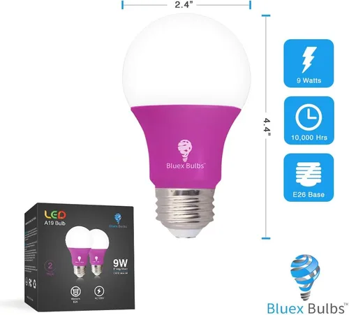 Miniatura 2 de BlueX - Paquete de 2 bombillas LED A19 (9 W, equivalente a 60 W), base E26, luz azul, decoración de fiestas, porche, iluminación del hogar, Púrpura