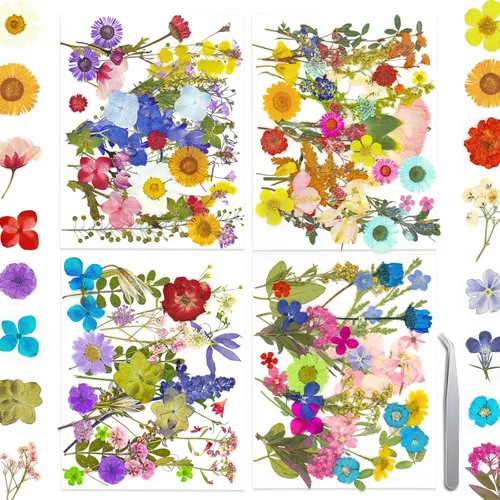 Miniatura 9 de Más de 170 pétalos de hojas de flores secas prensadas para manualidades, hermosas flores prensadas margaritas para joyas de resina, flores Color-a