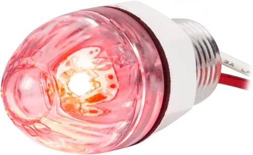 Miniatura 8 de GG Grand General 75390 Mini empuje/tornillo sandía ámbar/ámbar luz LED con tuerca 1 pulgada