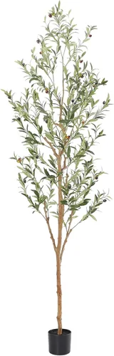 Miniatura 13 de Bellacat Árbol de olivo sintético de 6 pies, olivos artificiales para interiores con tronco de madera natural y hojas y frutas realistas. Olivo