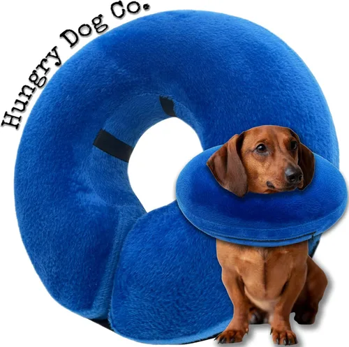 Collar inflable de alta calidad para perros y gatos - Ayuda en la recuperación de mascotas - Cómodo y seguro para tu mascota – Collar E suave – Azul