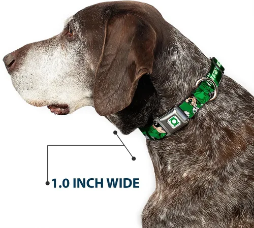 Miniatura 6 de Buckle-Down Collar de perro con hebilla de cinturón de seguridad, verde linterna verde brillante con texto, 1 pulgada de ancho, se adapta a cuello