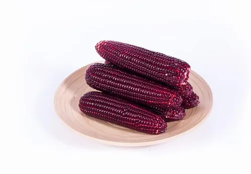 Miniatura 2 de Semillas de maíz rojo para plantar, maíz indio de carnicero sangriento, cultivadas en Iowa, color impresionante (100 semillas)