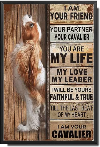Miniatura 45 de Letrero de Metal Letrero de Hojalata Arte de Pared Vintage I Am Your Friend Regalo para Amantes de Schnauzer Arte de Pared Vintage Impresiones