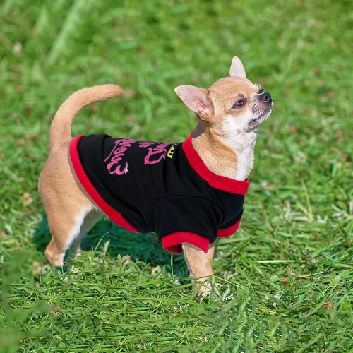 Miniatura 4 de 4 camisas para perro, ropa para perros de primavera y verano, lindo patrón, suave y transpirable, camiseta para mascotas, ropa para cachorros