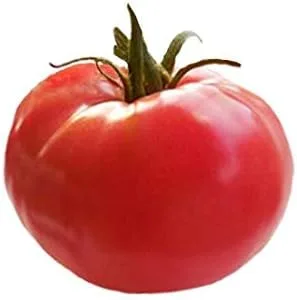 Miniatura 2 de Arkansas Traveler Heirloom Tomate - 10 semillas - Sin OMG
