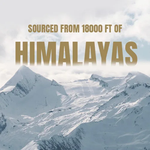 Miniatura 6 de Bargad Shilajit de resina del Himalaya para mujeres 100% puro, grado oro y probado en laboratorio Aumenta la energía, la inmunidad