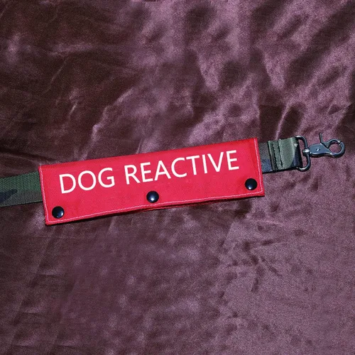 Miniatura 3 de Divertida funda para correa para perro, correa reactiva para perro, alerta, parche de identificación colgante, regalo de cumpleaños para mascotas