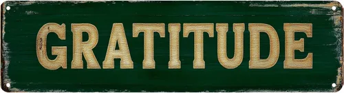 GRATITUDE - Letrero de metal vintage con texto en inglés "Street Sign", divertido para decoración de cueva de hombre, accesorios para el hogar, bar,