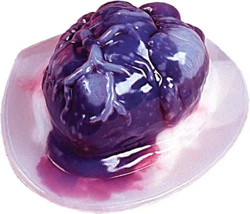 Fun World. Molde para hacer gelatinas en forma de corazón, para decoración de Halloween. Haz tus propios corazones de gelatina y aterroriza a