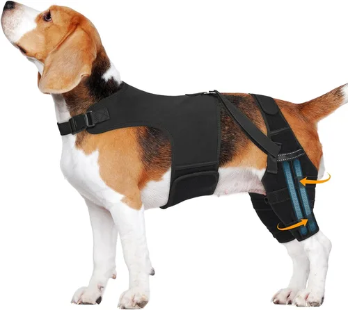 Rodillera para perro para pierna trasera desgarrada, ajustable para pierna trasera con 4 estabilizadores, reduce el dolor, lesiones de ligamentos y