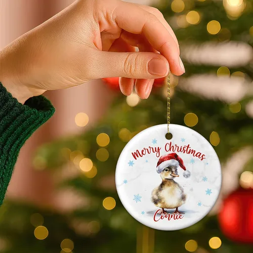 Miniatura 6 de Hyturtle Adorno de Navidad personalizado para amantes de los patos, adorno de cerámica con nombre personalizado de pato – Lindo regalo para amantes