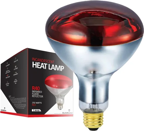 250 vatios R40 bombillas rojas de lámpara de calor infrarrojos reflector de inundación reflector incandescente para servicio de alimentos, bombilla
