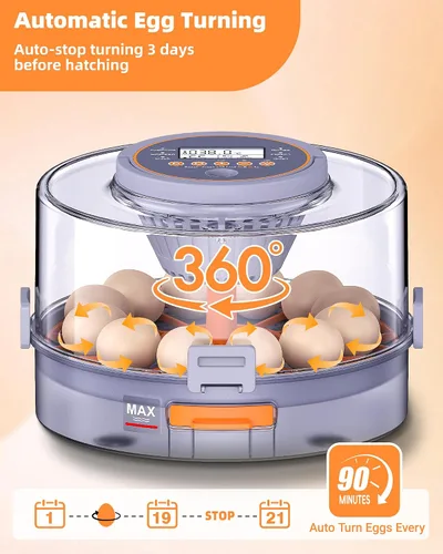 Miniatura 5 de Incubadoras para incubar huevos, 12 incubadoras de pollo con giro automático de huevos y control de humedad, suministros acogedores con vela