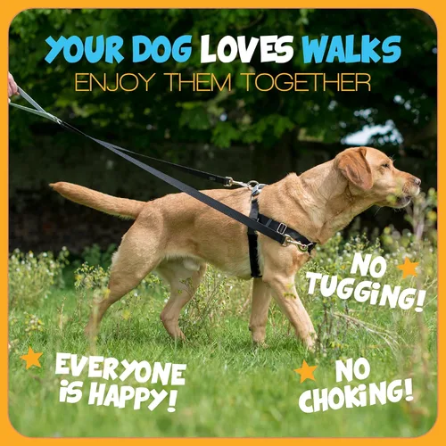 Miniatura 5 de 2 Hounds Design - Arnés para perro (libertad sin tirar), control ajustable, suave y cómodo para pasear perros fácilmente, para perros pequeños, Azul