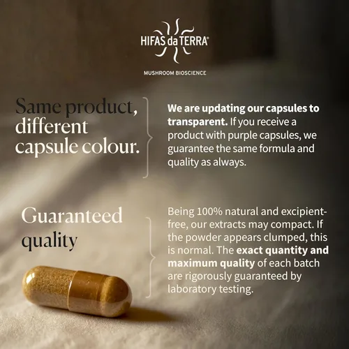 Miniatura 8 de Hifas Equilibrium - Complejo de hongos con melena de león orgánica, Cordyceps y Reishi - Suplemento de apoyo para el estrés y el estado de ánimo