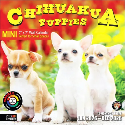 Miniatura 8 de RED EMBER Chihuahua Puppies 2025 Calendario de pared de 12 meses 12 x 24 pulgadas abierto Papel grueso y resistente Regalo Calendario 2025