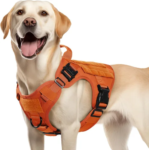 Miniatura 13 de rabbitgoo - Arnés táctico para perros pequeños, arnés resistente para mascotas con asa, chaleco de servicio sin tirones para razas pequeñas, chaleco