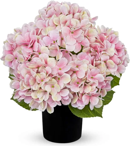 Miniatura 24 de Hollyone Flores artificiales de hortensias azules en maceta, flores grandes de seda de tres cabezas, arreglos florales falsos para interiores